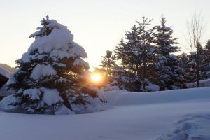 winter1_779.jpg