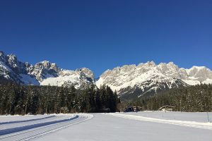 32017-01-21 15.11.23.jpg