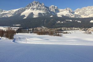 52017-01-25 15.31.17.jpg