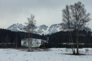 IMG_1350.jpg