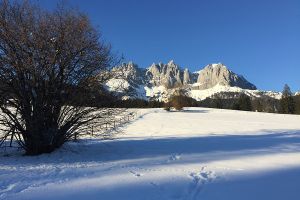 82017-01-27 15.58.09.jpg